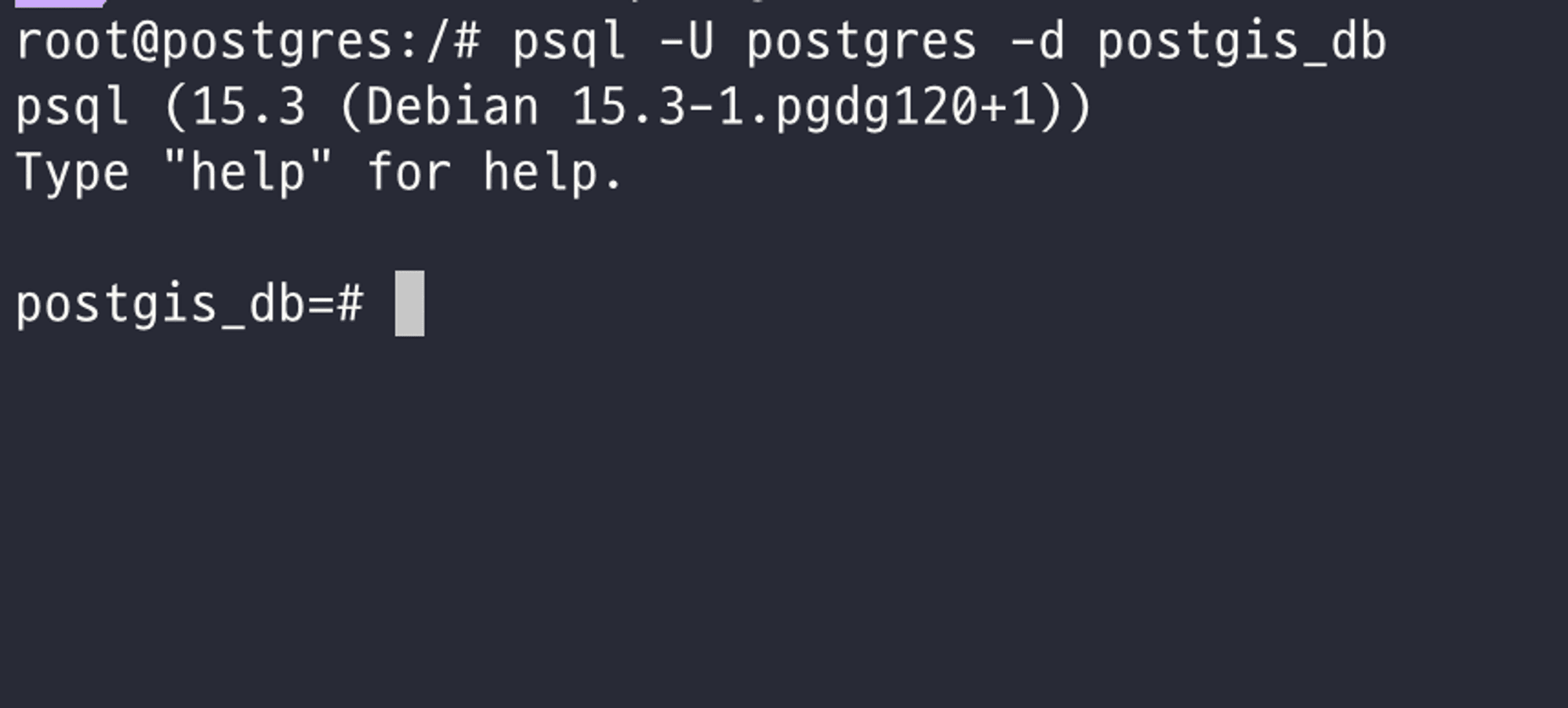 Postgis docker